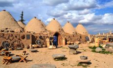 Harran hak ettiği yere Genç Başkan Özyavuz ile geldi